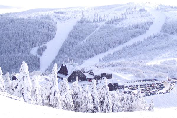 Červenohorské sedlo (Altvatergebirge, I/44) – Bild 1 vergrößern