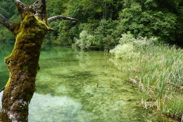 Nationalpark Plitvicer Seen (Nacionalni park Plitvička jezera, D429) – Bild 2 vergrößern