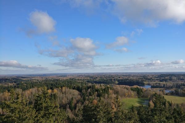 Großer Eierberg (Suur Munamägi) – Bild 2 vergrößern